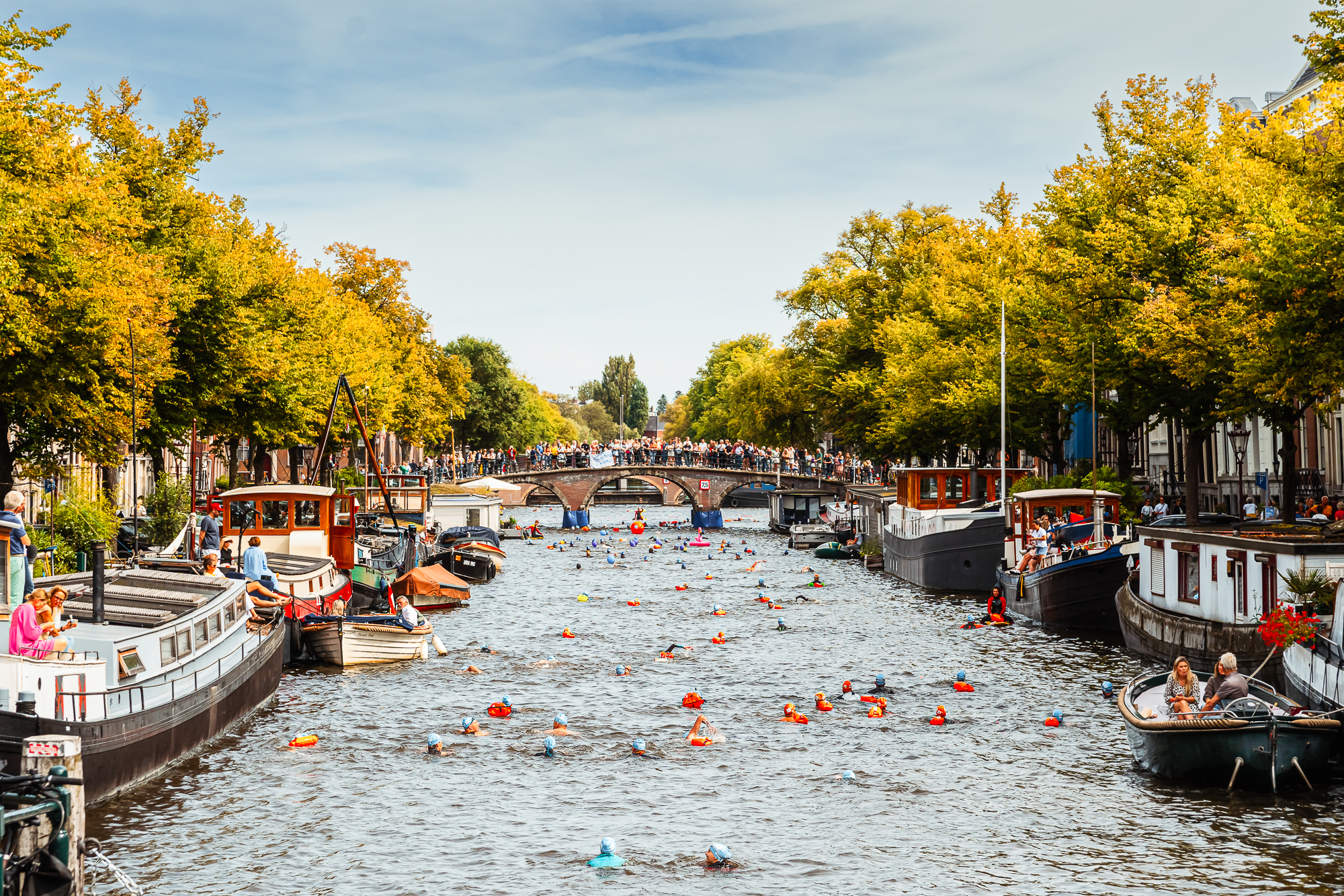 Gouden Giraffe Event Awards 2024: Amsterdam City Swim